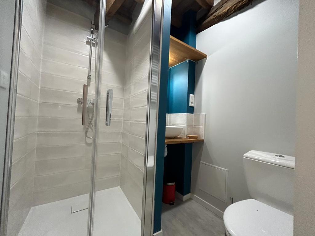 Гостьовий будинок Le Citadin Bourguignon Toucy Екстер'єр фото